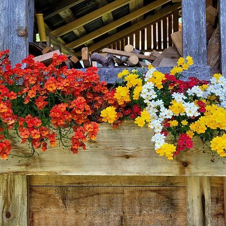 La Gerla Casa Vacanze Dolomiti Hotel Perarolo di Cadore Екстериор снимка