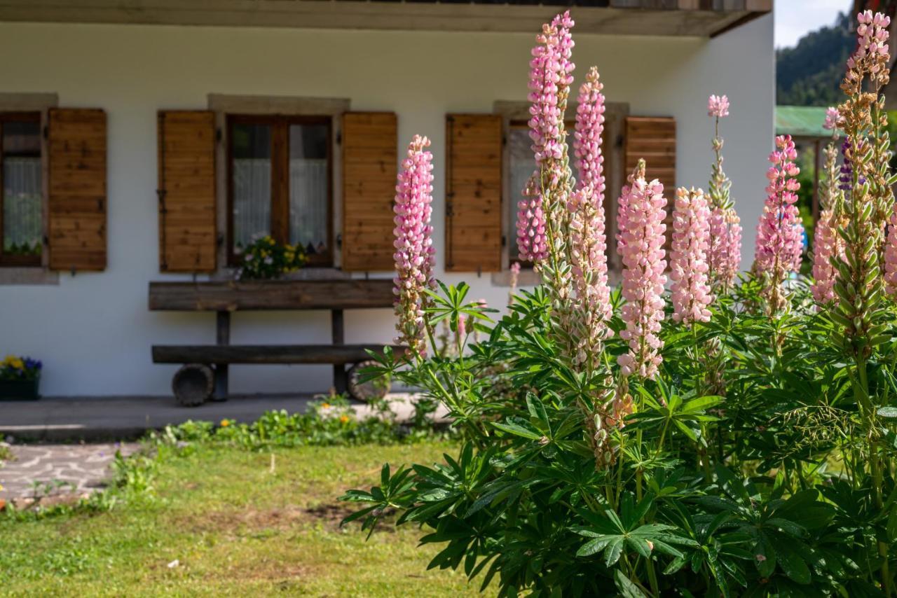 La Gerla Casa Vacanze Dolomiti Hotel Perarolo di Cadore Екстериор снимка