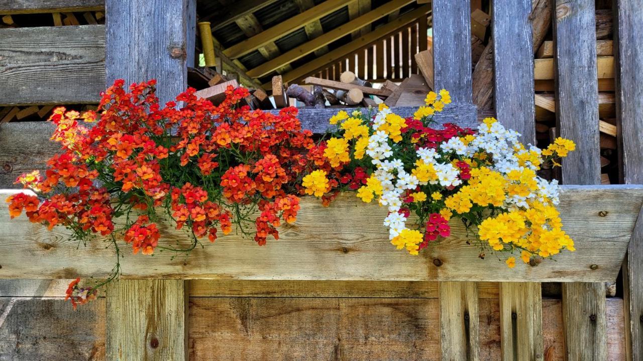 La Gerla Casa Vacanze Dolomiti Hotel Perarolo di Cadore Екстериор снимка